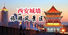 中国媚黑女被黑人操逼视频免费观看中国陕西-西安城墙旅游风景区